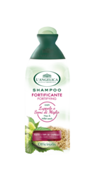 Șampon L'Angelica Fortifiant